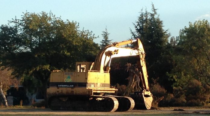 Homeowners quarrel with Ridgemark over tree removal