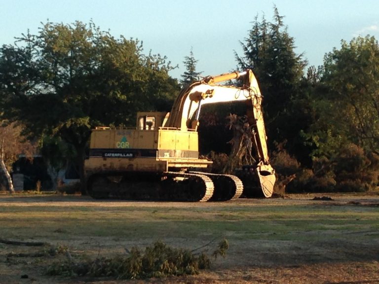 Homeowners quarrel with Ridgemark over tree removal