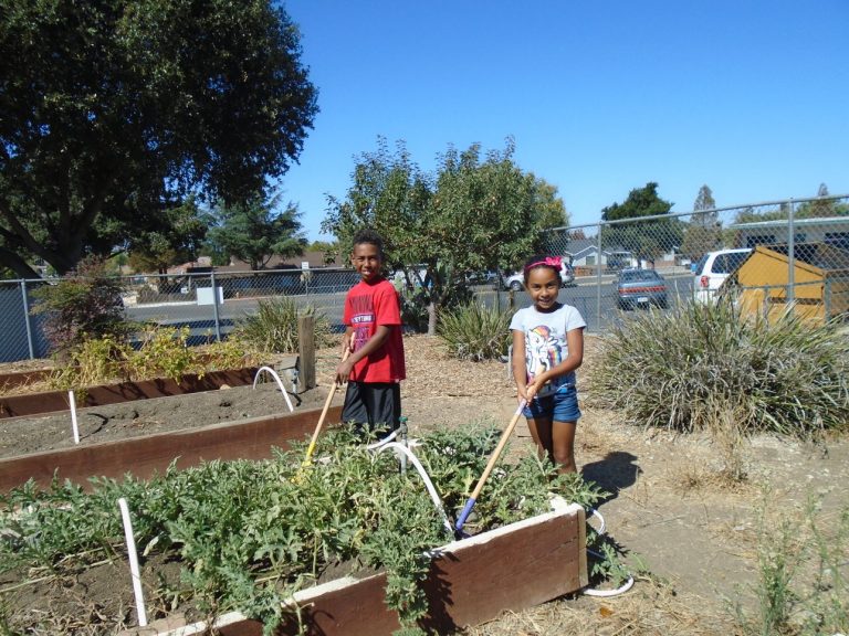 Public health, schools take fresh approach with gardens