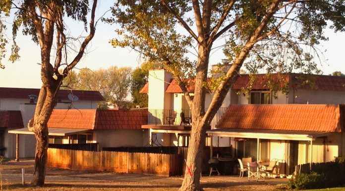 Judge tells homeowners to post bond in Ridgemark tree case