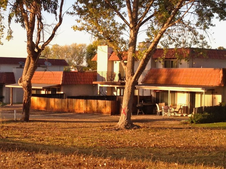 County board weighs 45-day ban against cutting mature trees