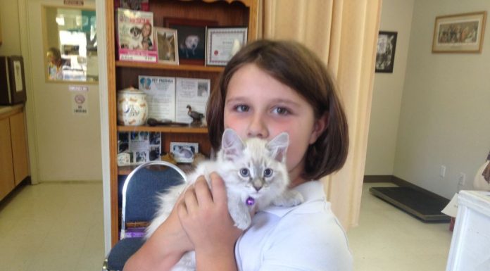 Pet Friends looking for locals with soft side for pets