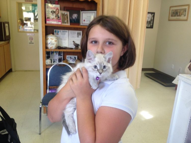 Pet Friends looking for locals with soft side for pets