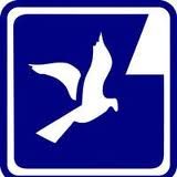 Election: Wave of new faces for school boards