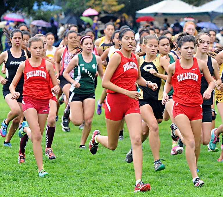 Quinones, Balers repeat as MBL champs