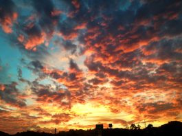 San Juan council elects a new mayor