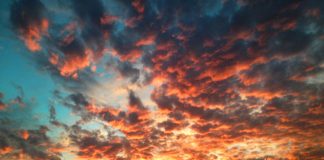 San Juan council elects a new mayor