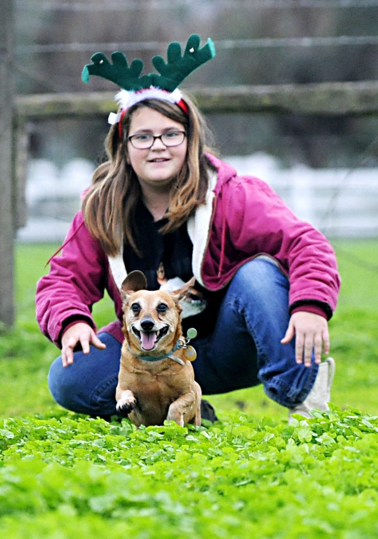 Wally the Racing Wiener