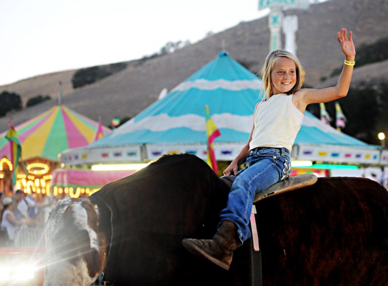 County fair asks for community help with 2015 theme