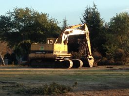 County extends tree-cutting ban by 10 months, 15 days