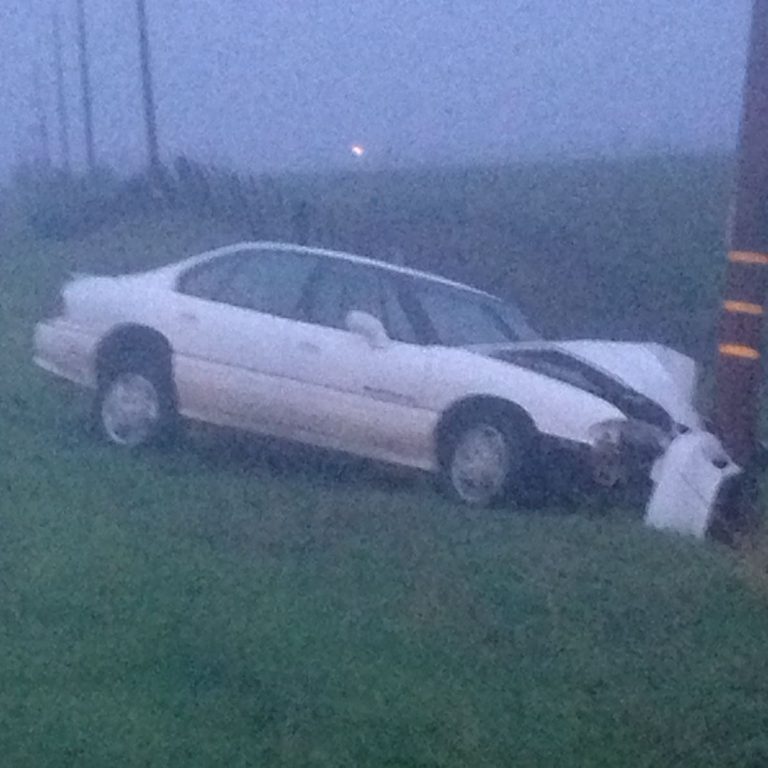 Car crashes into telephone pole