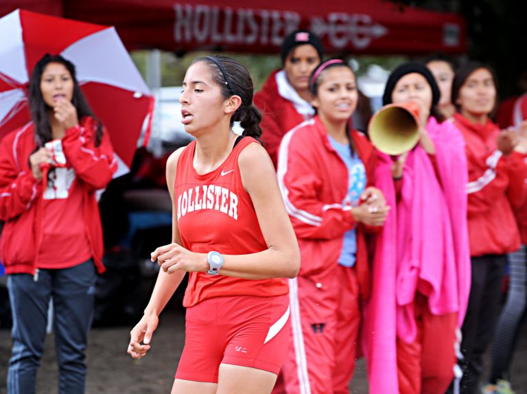 Sports roundup: state cross country, all-league lists