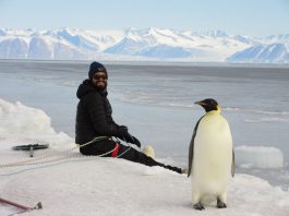 Baler alum studies snails in Antarctica