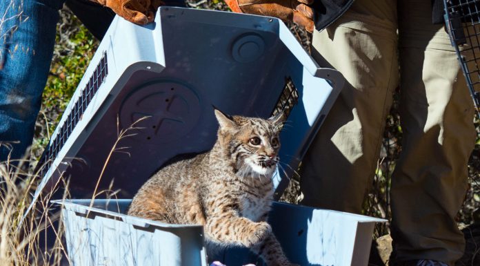 Going the extra mile