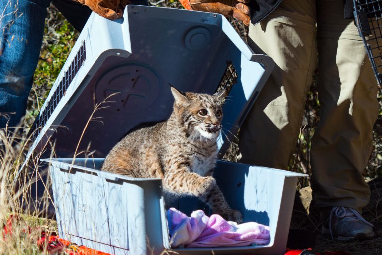 Going the extra mile