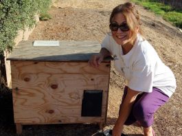 South Valley Personality: Meet Cynthia Stocker