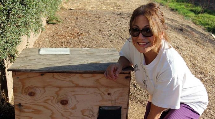 South Valley Personality: Meet Cynthia Stocker