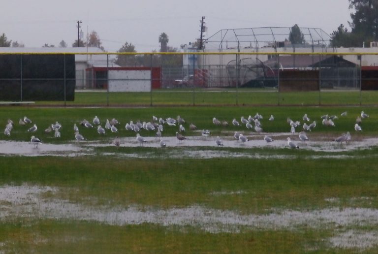 Updated: School in session despite rain, except at Southside