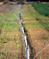 Gavilan College board supports Panoche solar project