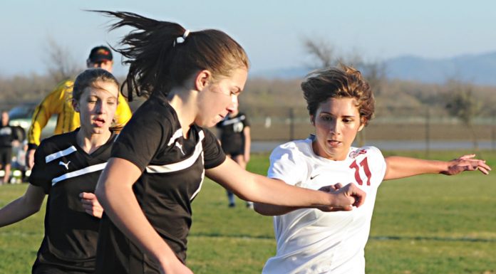 Ronnee Davis: small in stature, big in fight