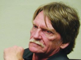 Updated: Council wants more answers on wetland sewage treatment