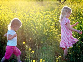 Mustard flowers bring fields of gold to the valley