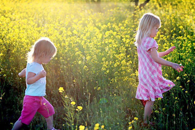 Mustard flowers bring fields of gold to the valley