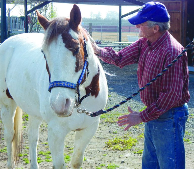 Peace on the ranch for veterans