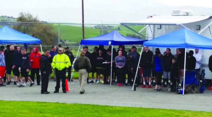 Dozens take part in sheriff testing