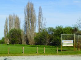 San Juan is dreaming up fields with a trail