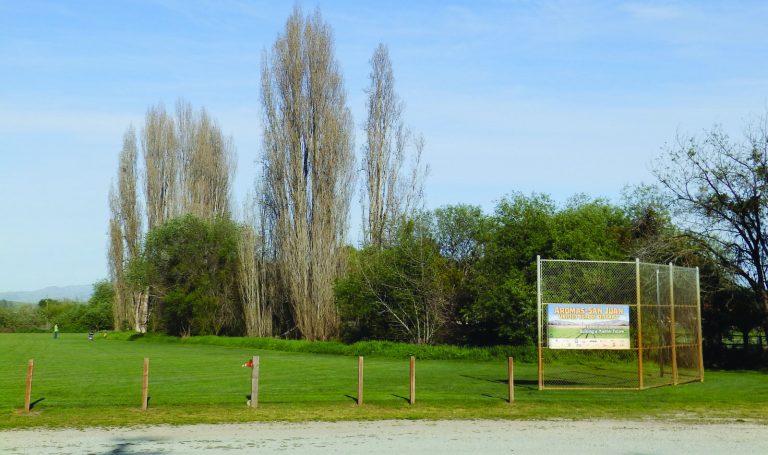San Juan is dreaming up fields with a trail