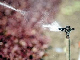 Updated: More details on restrictions for water cutback