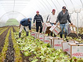 County jobless figure continues downward trend