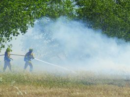 Updated: Hollister council OKs fees for some fire responses