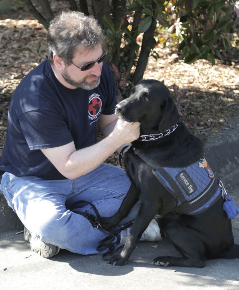 Four paws, two feet, one team: Nonprofit group provides service dogs to veterans with disabilities