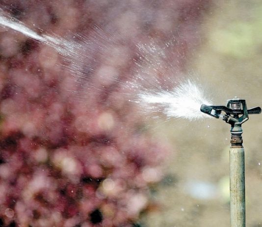 Hollister council to hear about recycled water program