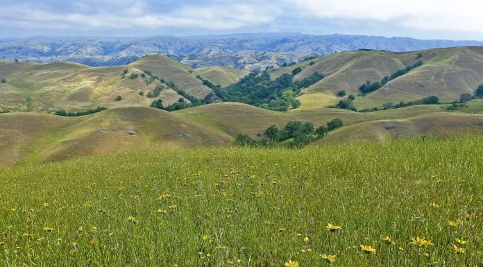 Erskine: Preserve rate jumps up ahead two stars