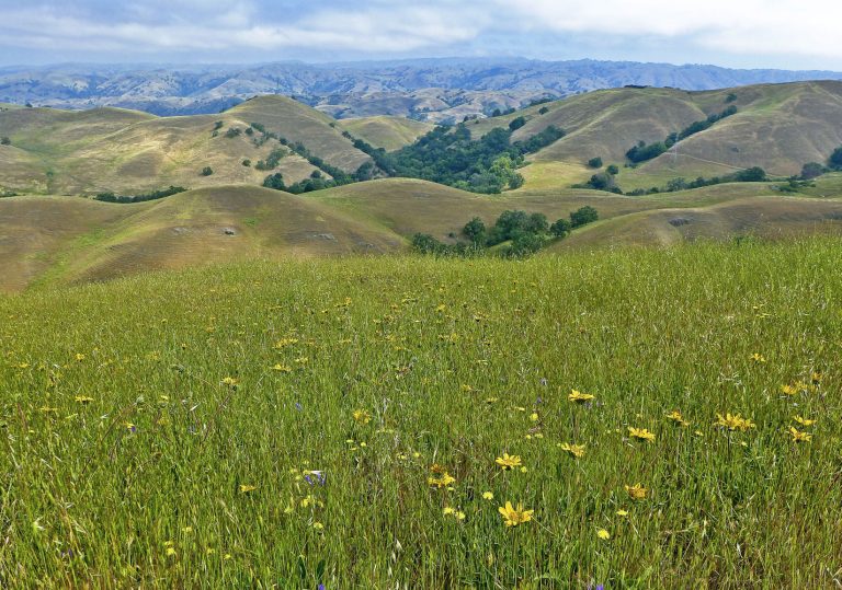 Erskine: Preserve rate jumps up ahead two stars