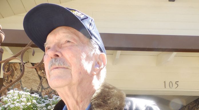 Wartime pilot’s career had boost from carrots, bananas