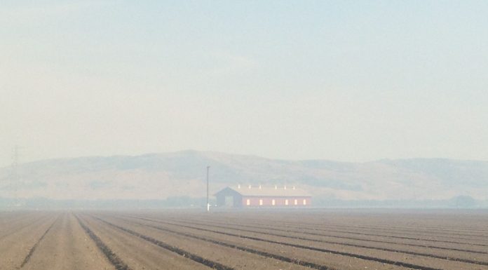 Wildfire sparks near highway interchange