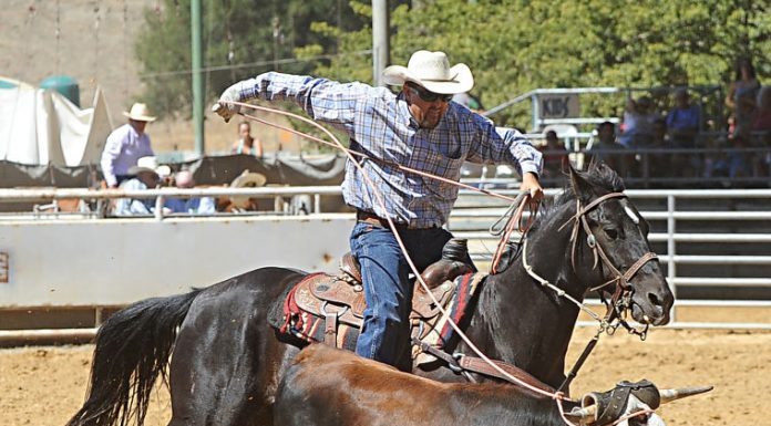 Sheriff’s office to wear Western duds for rodeo, fair