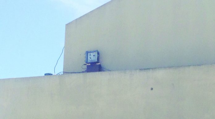 Halt to downtown’s fake bird noises remains mystery