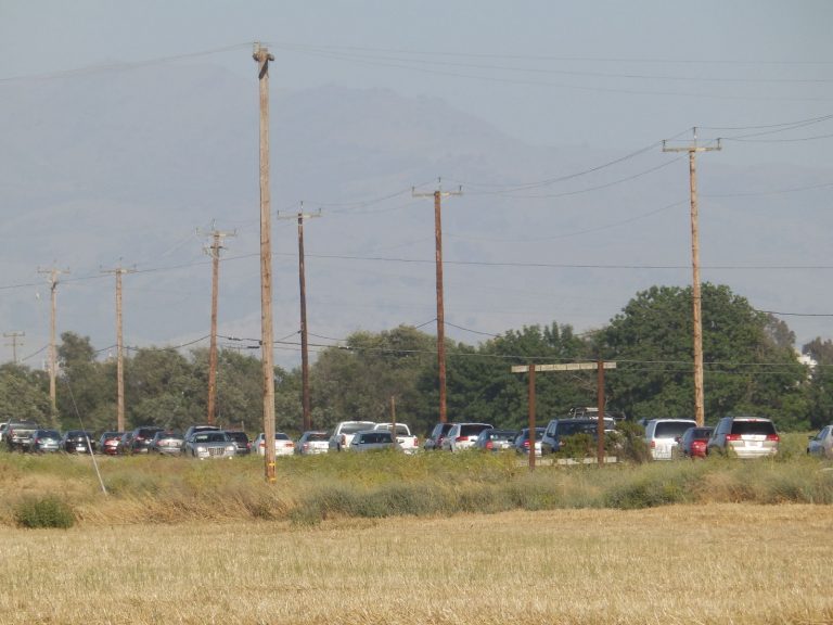 Seven-vehicle fatal accident reported on Highway 25