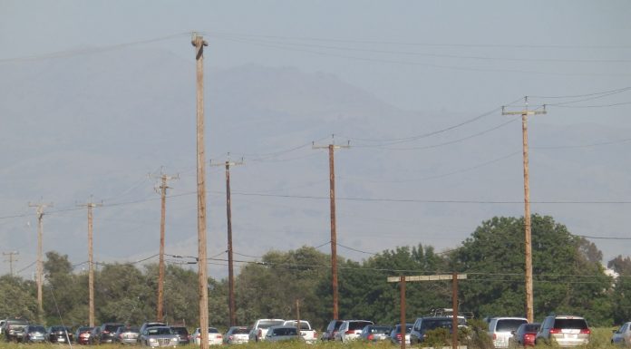 Fatal victim in 7-vehicle wreck ID’d as details emerge