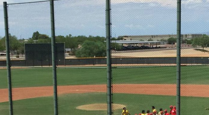 Baseball: San Benito staves off elimination
