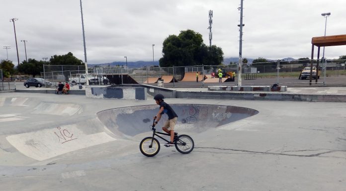 Fatality victim’s best friend: ‘Most lovable guy you could know’