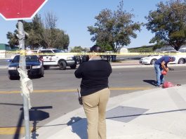 After fatality, official bemoans lacking helmets, parental supervision