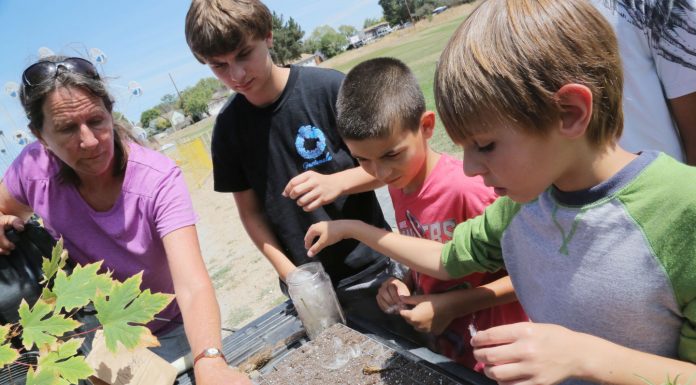 At San Juan camp, restoration is the new ‘green’