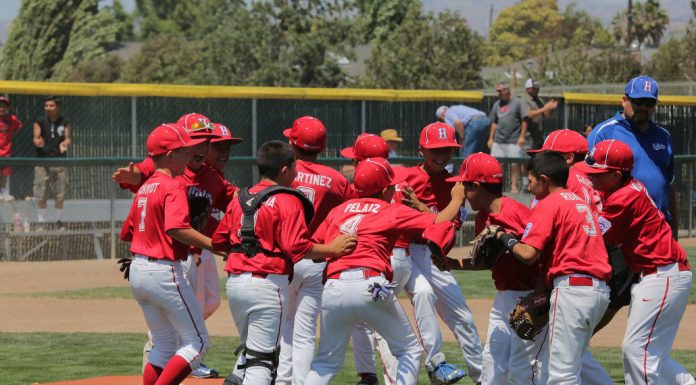 Baseball: Hollister 8-9, 9-10 All-Stars shine bright
