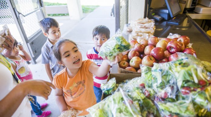 Summer can bite into students’ nutrition